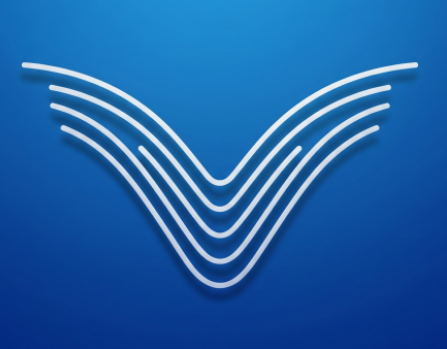 5vega Logo